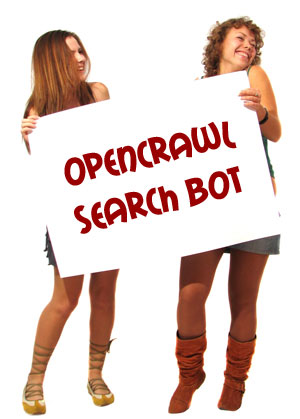SEO in detail