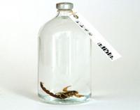 Cannabis vodka