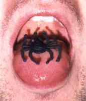 Edible Spiders
