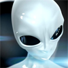gallery_121_16_11293.png