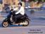 tn_gallery_1_13_134658.jpg