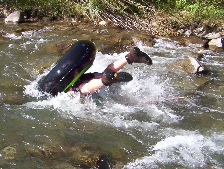 gallery_4760_32_115218.jpg