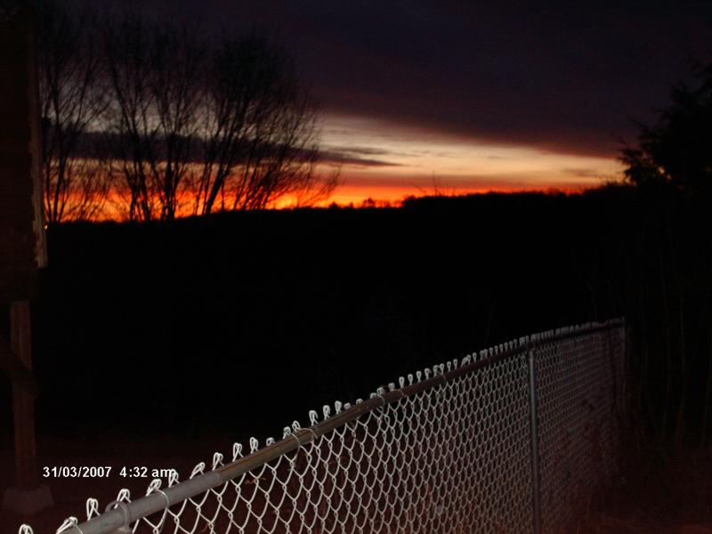 gallery_8082_13_614489.jpg