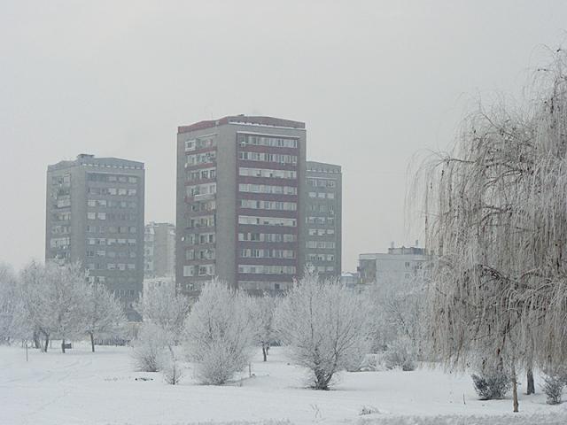gallery_69_13_152412.jpg