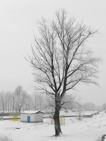 gallery_69_13_41993.jpg