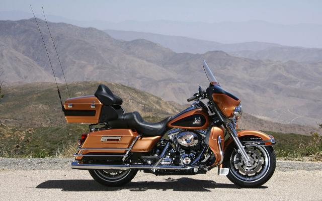 gallery_40_457207.jpg