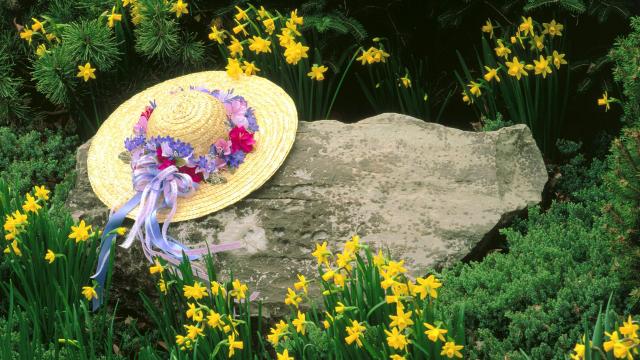 gallery_53_311474.jpg