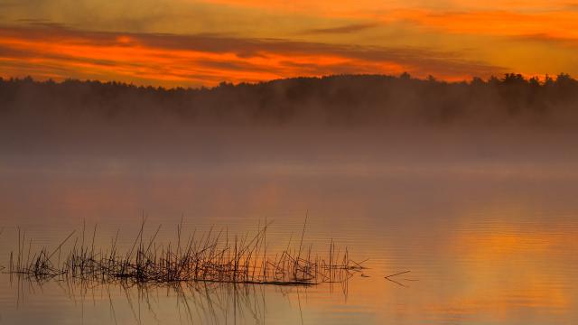 gallery_53_315533.jpg