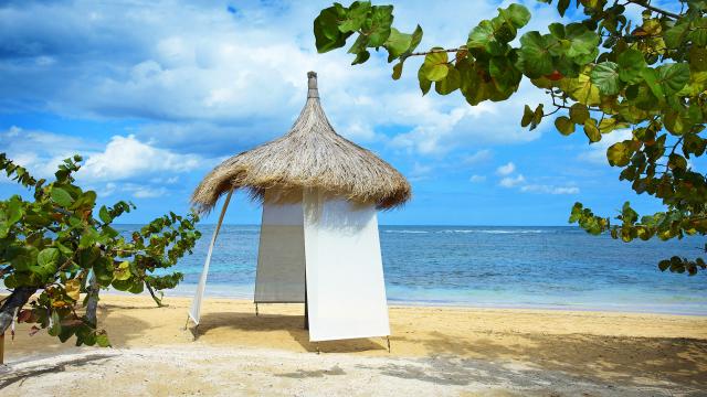 gallery_53_760152.jpg