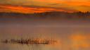 tn_gallery_53_315533.jpg