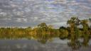 tn_gallery_53_202665.jpg
