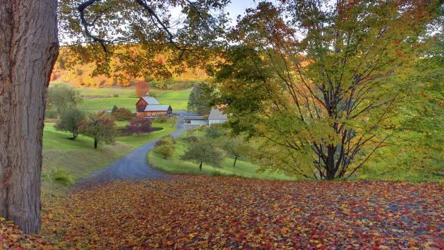 gallery_53_1735940.jpg