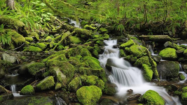 gallery_53_602231.jpg