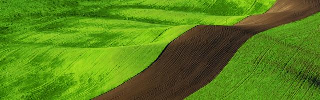 gallery_54_953915.jpg
