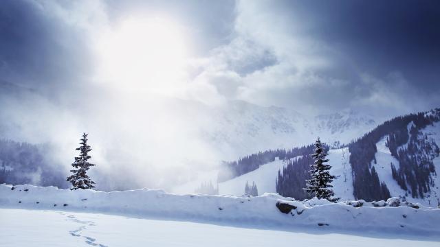gallery_1_9_2112454.jpg