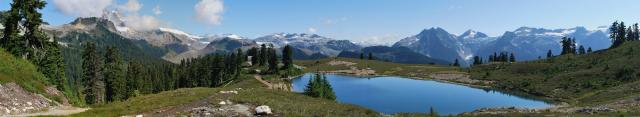 gallery_55_555452.jpg