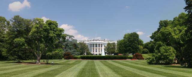 gallery_55_1125878.jpg